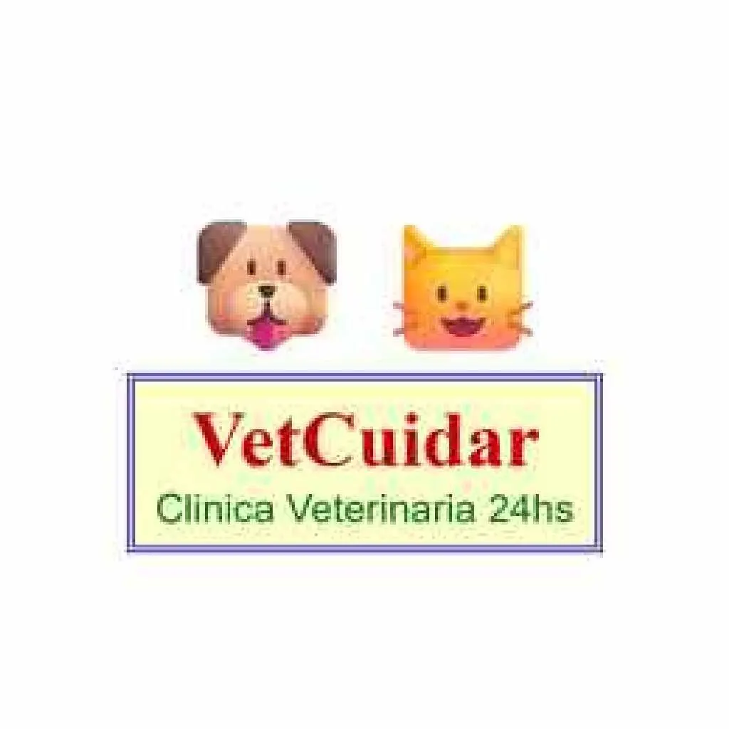Antes: VetCuidar
