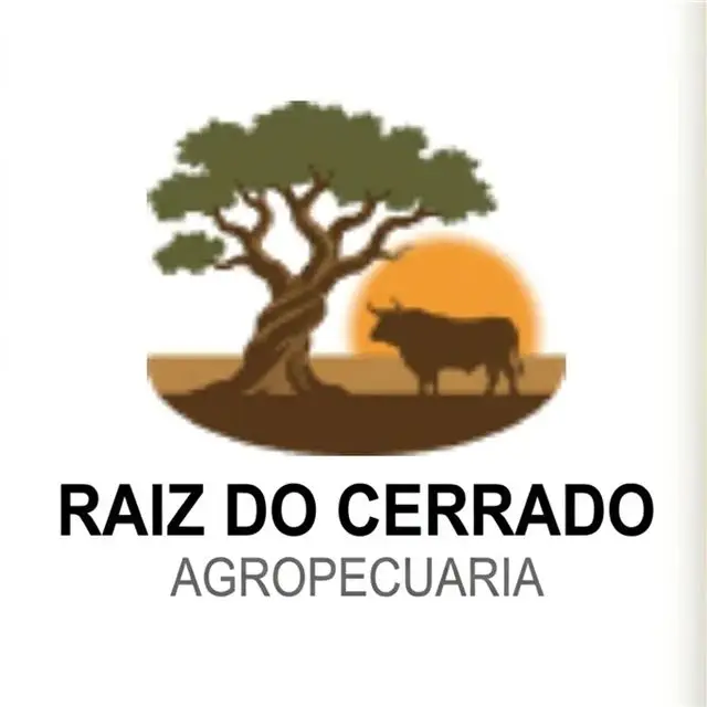 Antes: Raiz do Cerrado